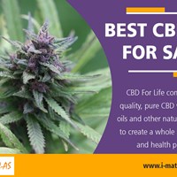 Портфолио CBD Oil For Dogs